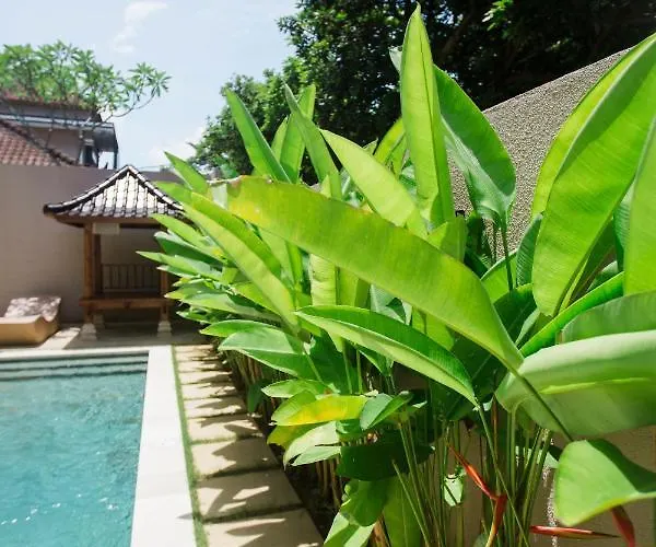ベッド・アンド・ブレックファスト Donguri House Bali ジンバラン